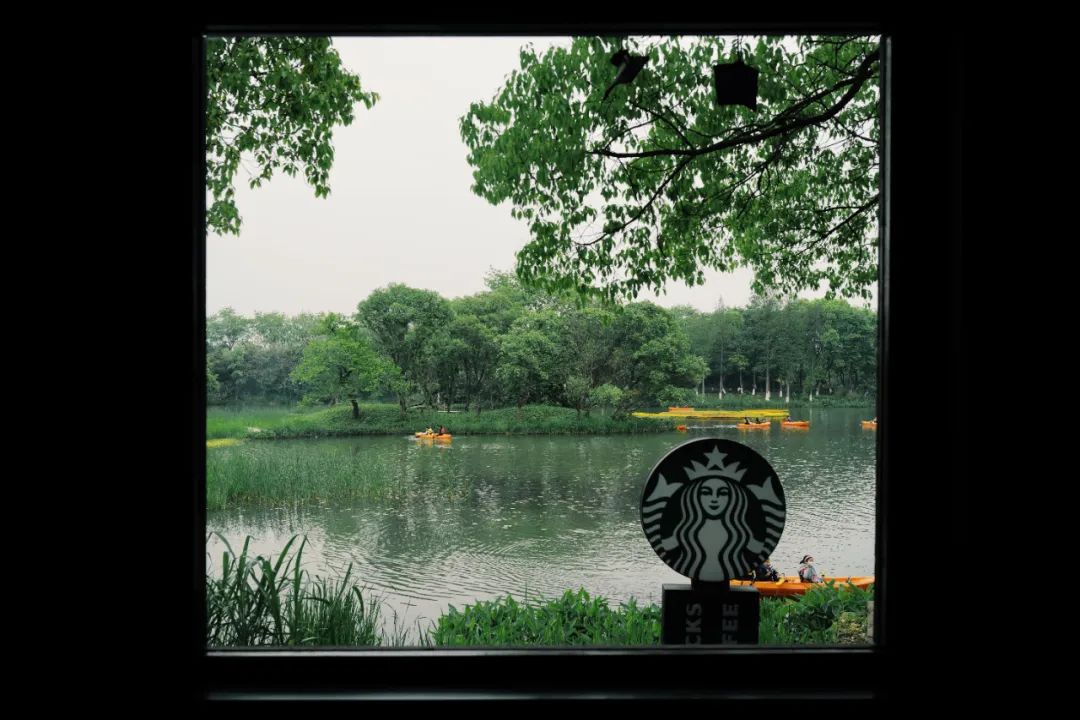 春天的潺潺溪水,春天的顶流