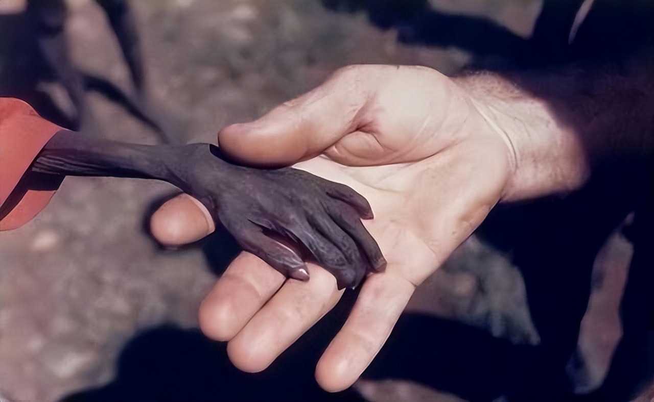 2016年,那个被白人美女喂水喝的2岁非洲小男孩,后来怎么样了?