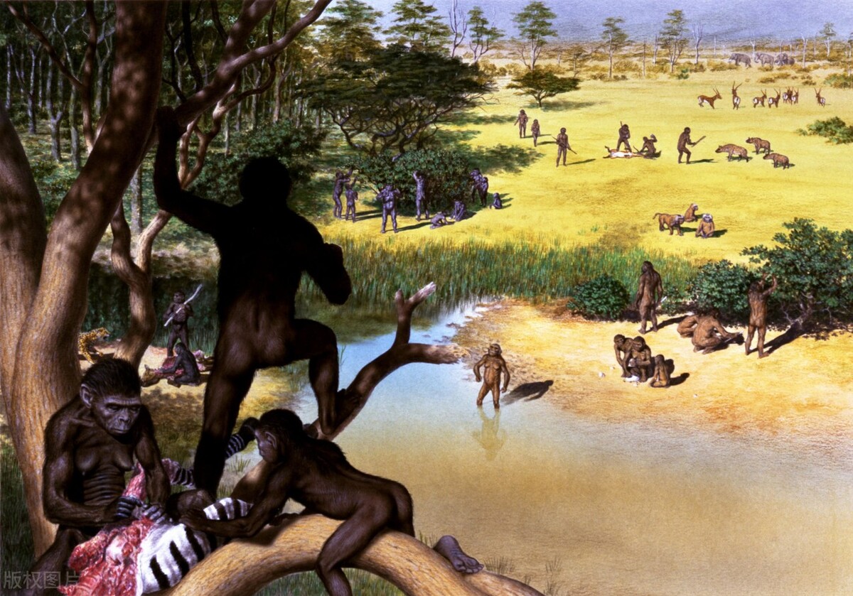 中国人的祖先，原来是起源自这些地方，是否有你所在的省份呢