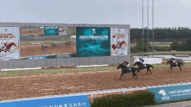 璧涢┈璧涚▼鍒嗙骇,璧涢┈姣旇禌鍒嗙骇