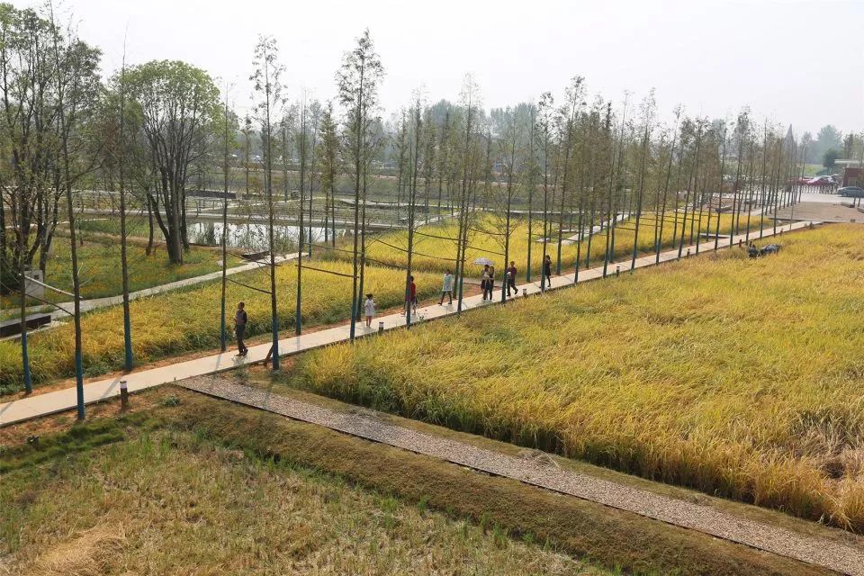 10个极具设计感的乡村改造,乡村创意改造景观