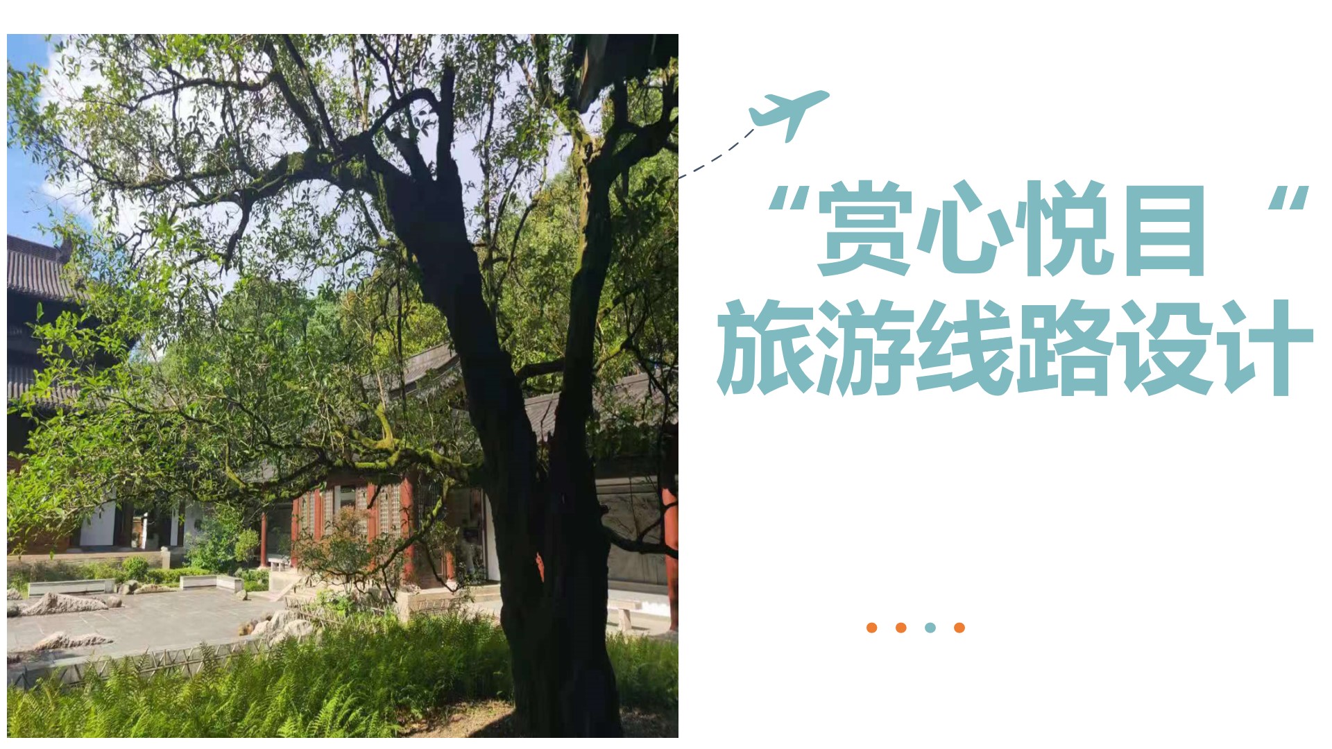 武夷山观光图,武夷山旅游线路推荐