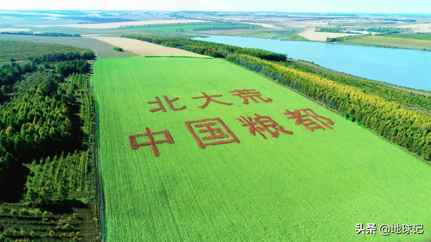 为什么印度这么多人口还出口粮食,印度为什么出口粮食便宜国内贵