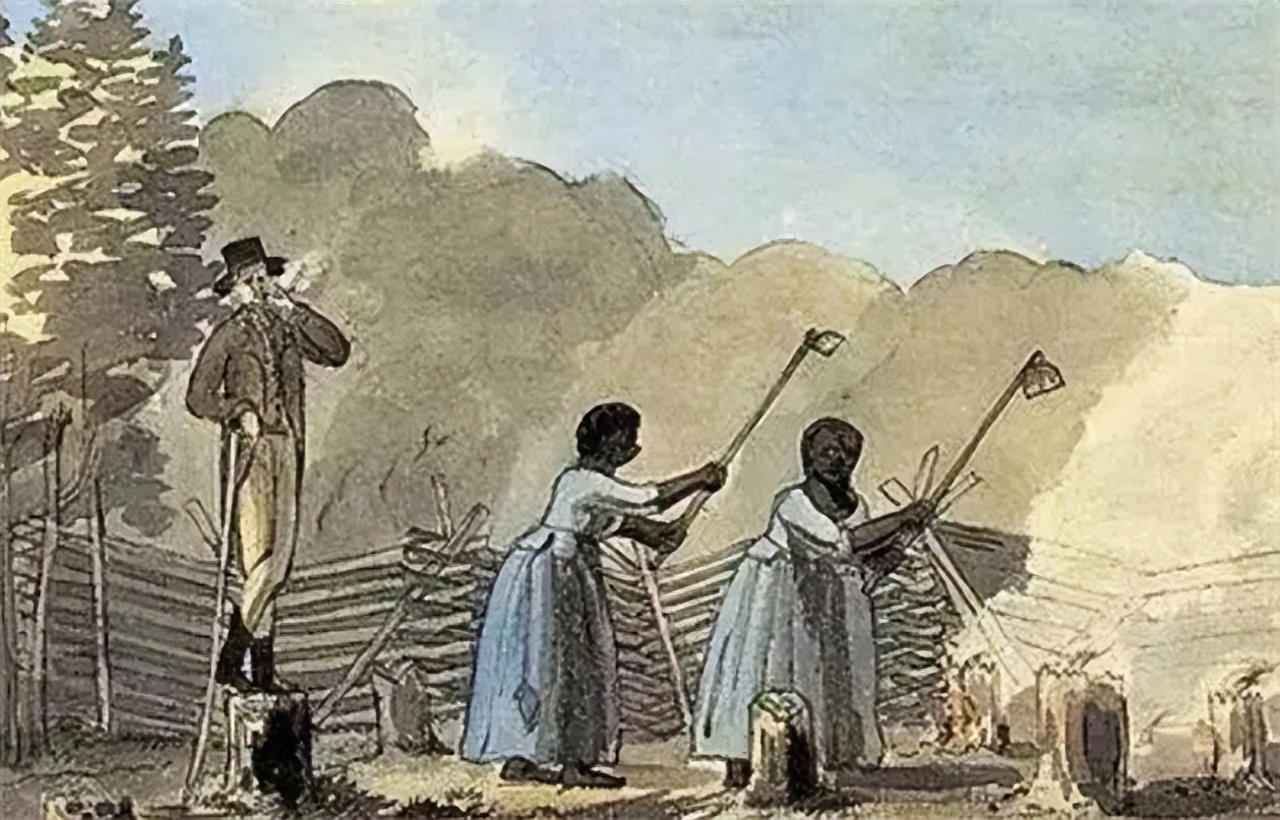 贩卖黑奴时,奴隶主怎么挑选?掰开嘴巴看牙齿,靠舔下巴识别汗液