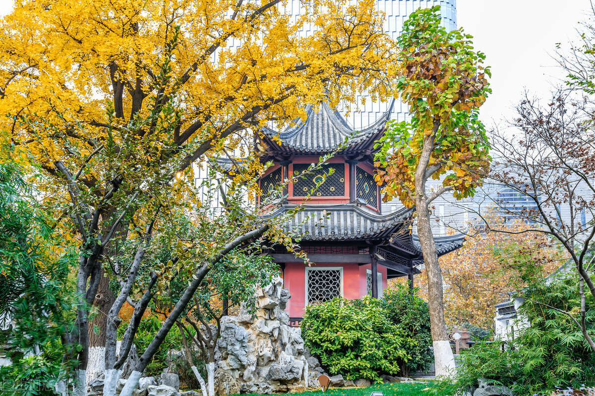 南京宝藏旅游打卡地,南京一日游宝藏街区