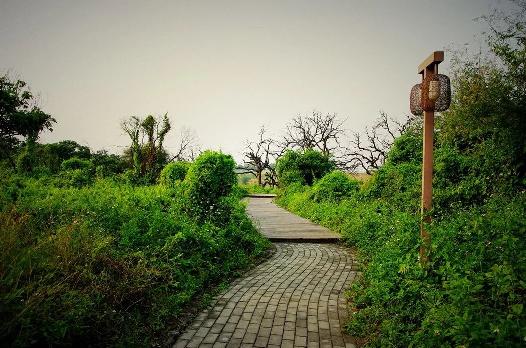广州鹤之洲湿地公园游玩攻略简介,增城凤凰古城一日游最佳去处
