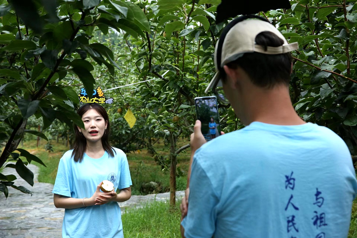 辛巴助力贫困学子圆梦象牙塔，华中农大直播助农走进乡村田间地头