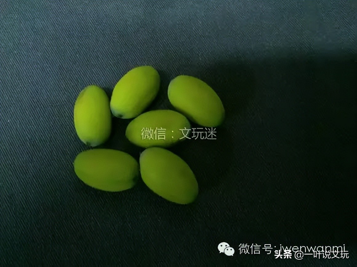 这玩意儿15元一斤，改成手串后要申遗？！太TM离谱了吧？