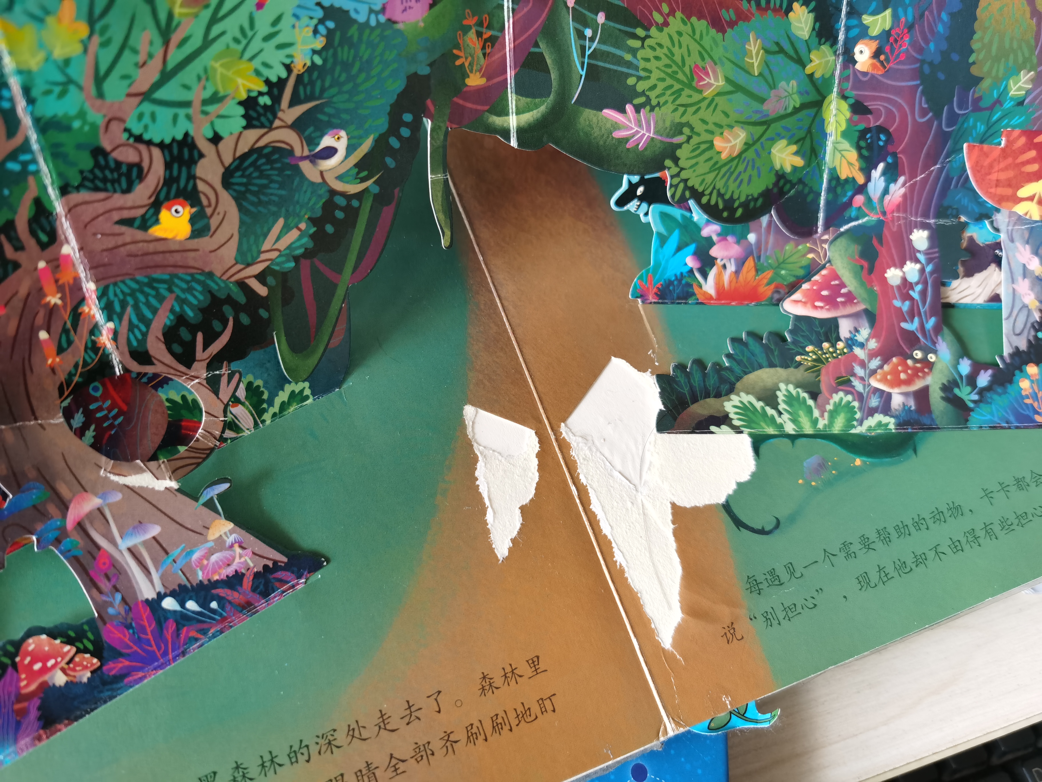 如何给孩子选英语启蒙书,如何教会孩子选择书