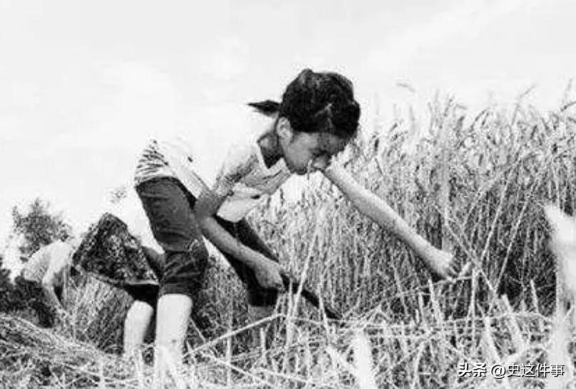 16岁女孩为养家三度卖血,16岁女孩为哥哥卖血上学山东