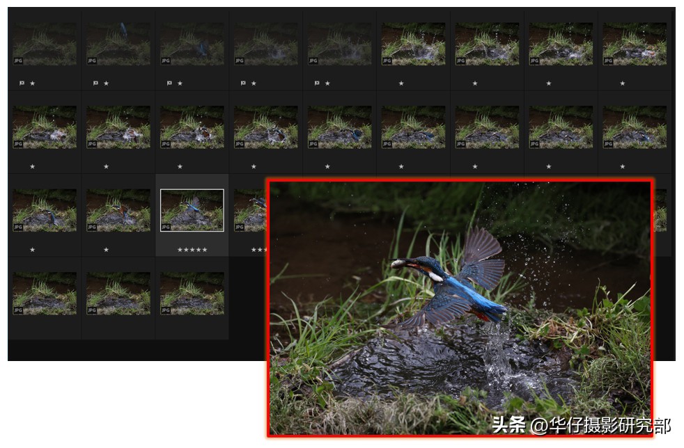 佳能镜头EF和RF有什么区别,佳能efs机身能用ef镜头吗
