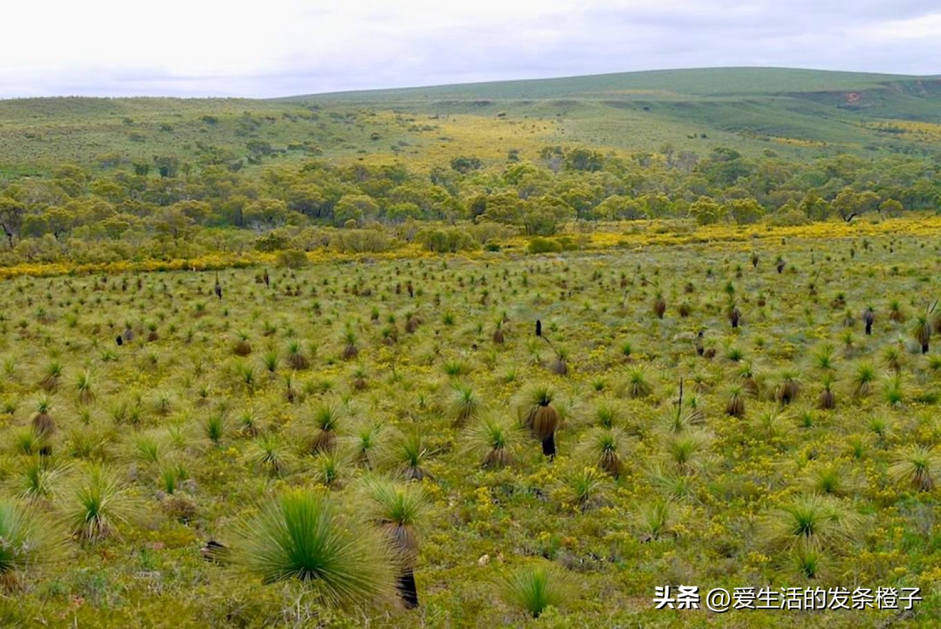 一路向北全程1980公里,西澳自驾游最佳路线图