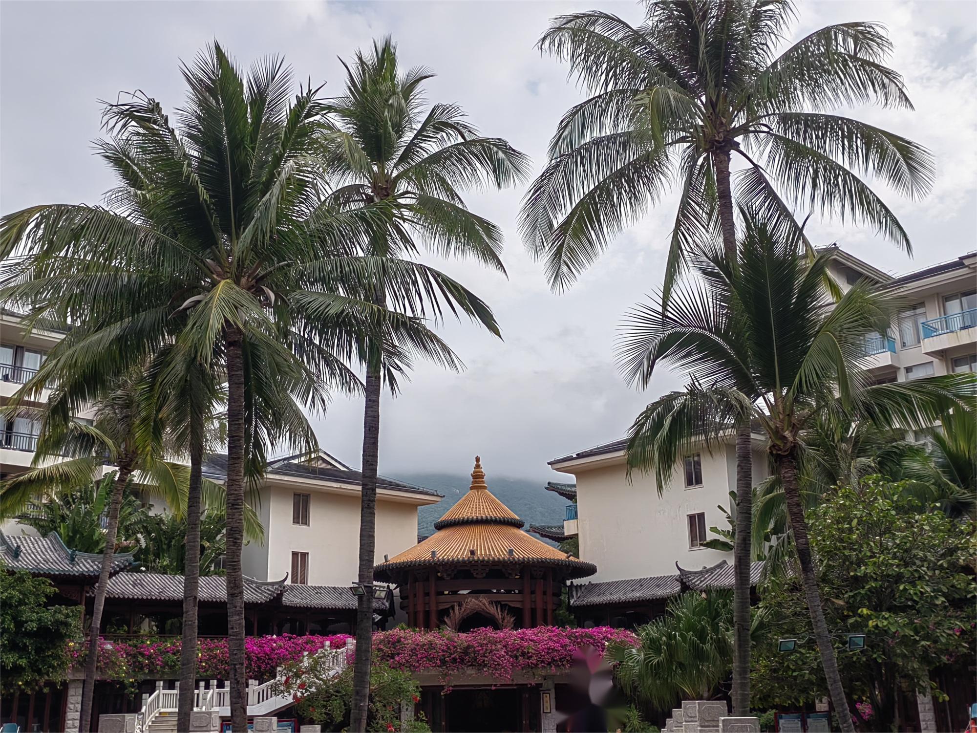 海南自驾环岛游攻略三亚出发,成都自驾海南环岛攻略路线