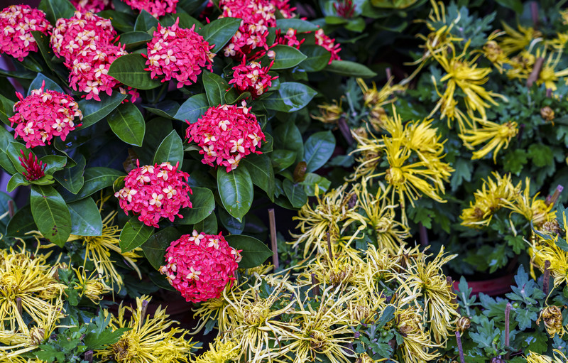 打卡安庆古城,安庆旅游和美食