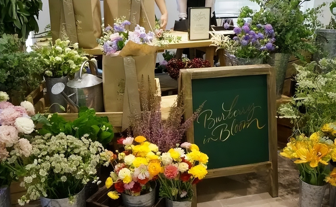 加盟花店排行榜前十名免费加盟,花店加盟最好的品牌是