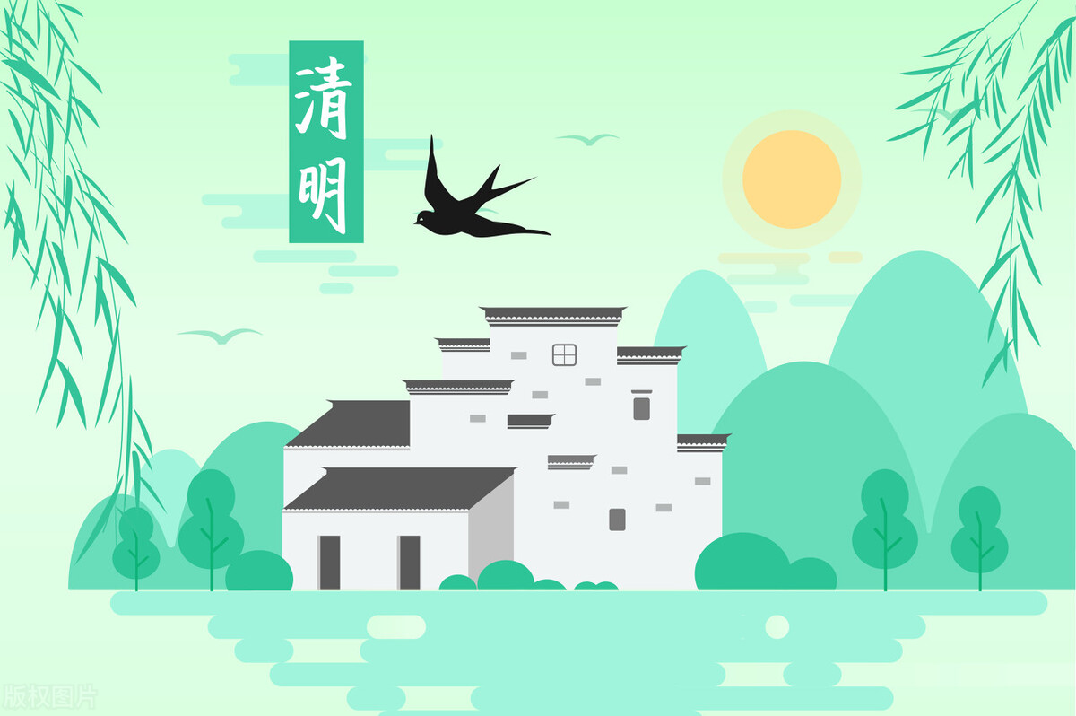 扫墓菊花买几朵最好,扫墓用菊花用多少朵花