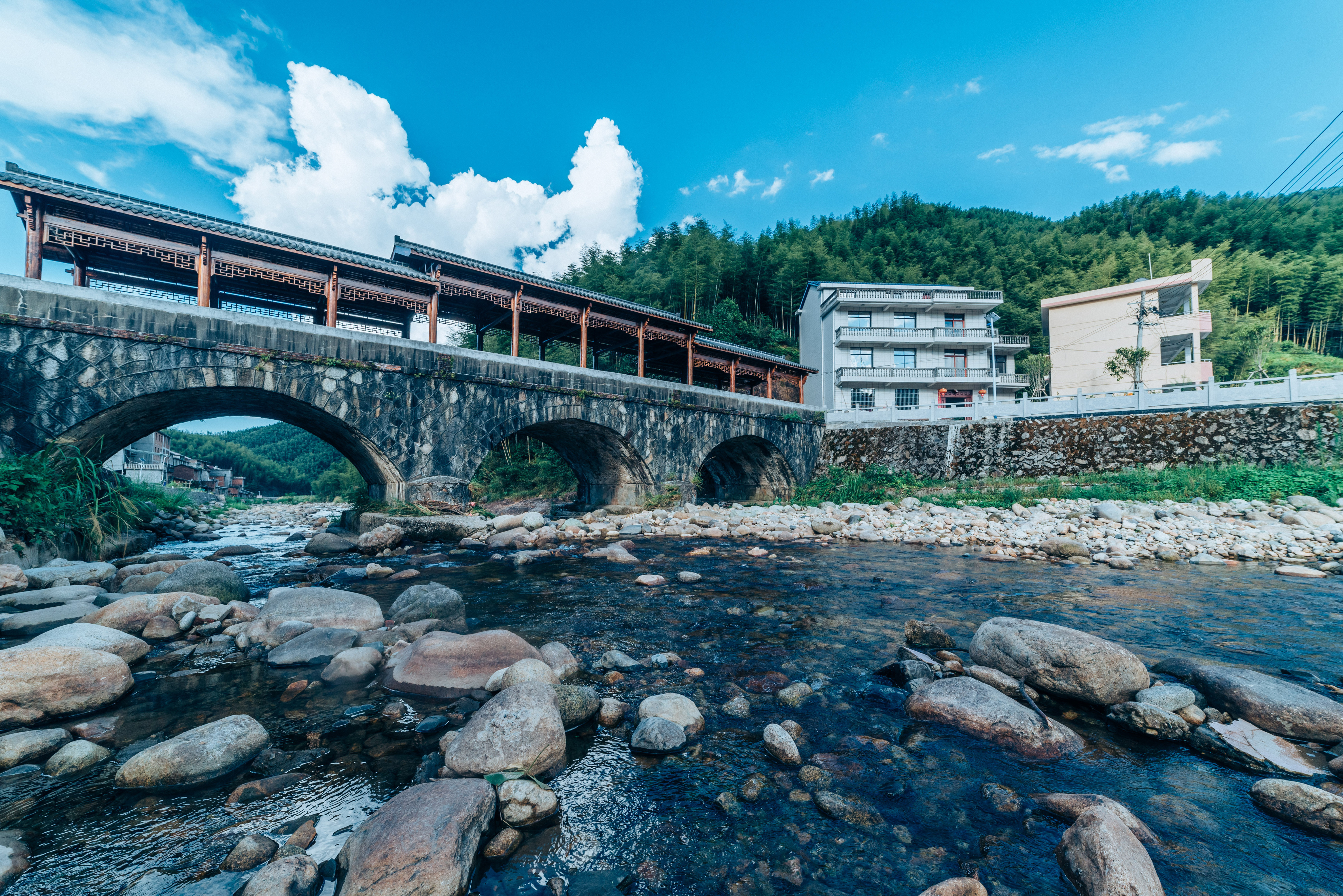 行游五府山：解密3宝，山野美味游走舌尖，传递平实的幸福
