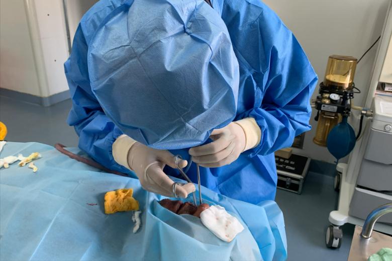 最“痛苦”手术排行榜公布,痛苦手术排行榜前十名