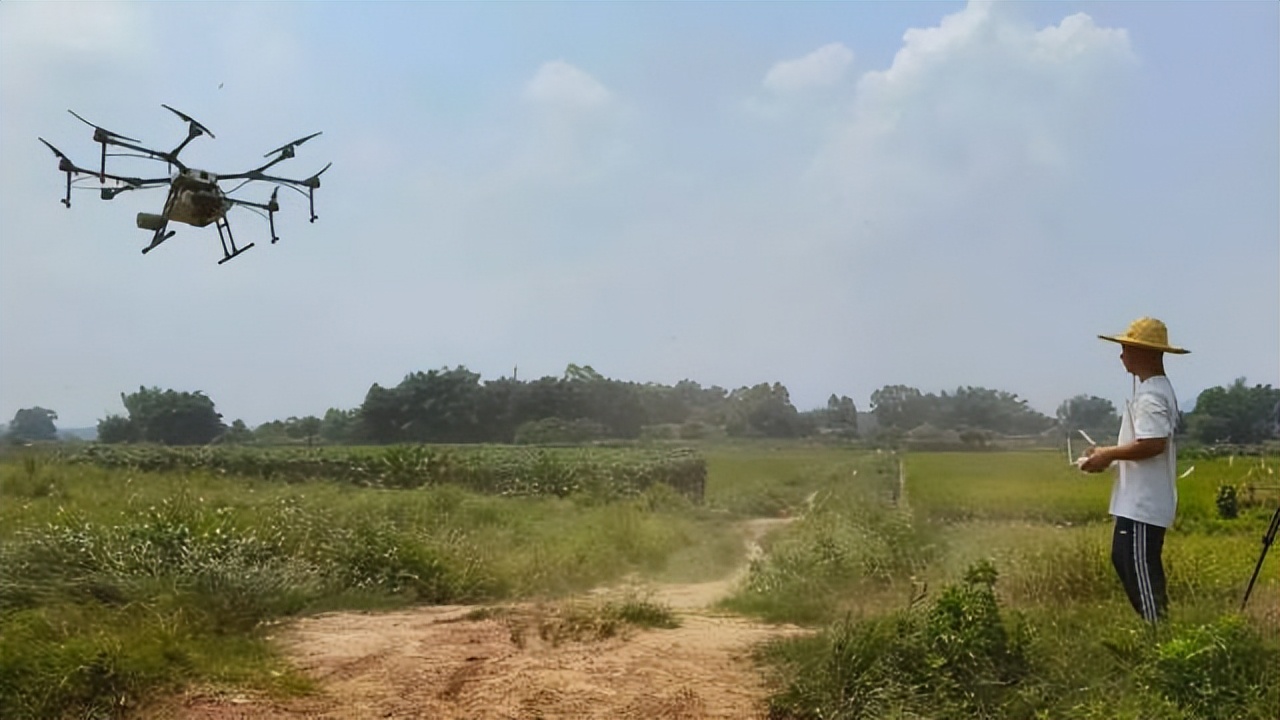 返乡创业新农人90后,创业90后新农人