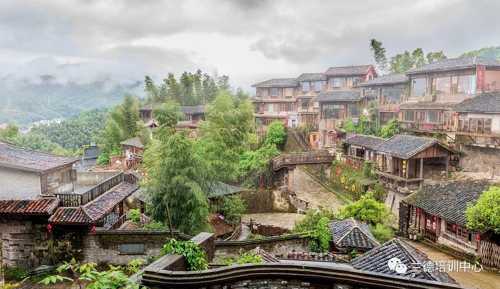 乡村振兴战略面对面心得,乡村振兴致富带头人培训心得