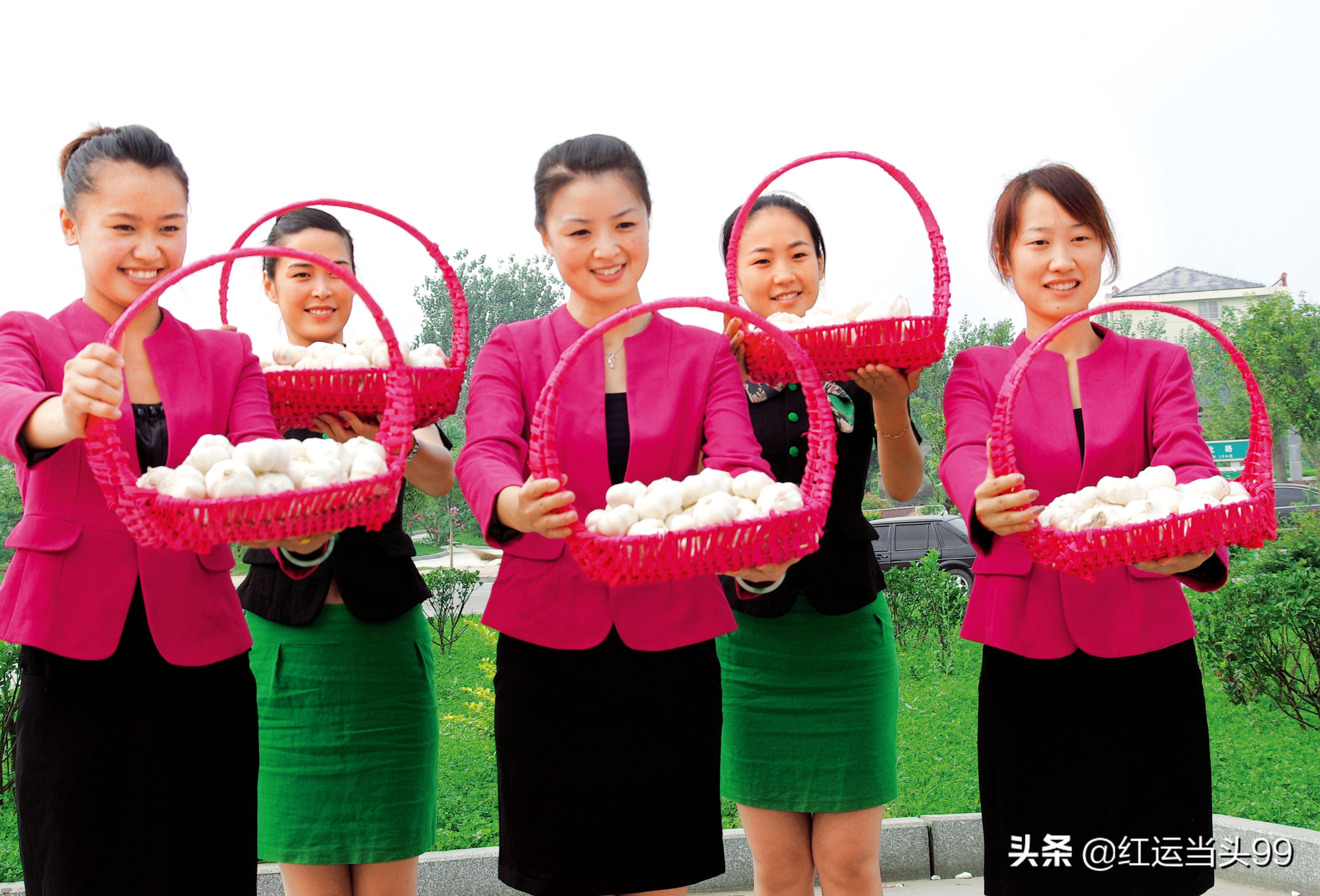 大蒜最早在哪个国家种植,大蒜全世界都有吗