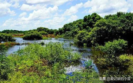 足球氛围冷淡的欧洲国家,对足球最热情的国家