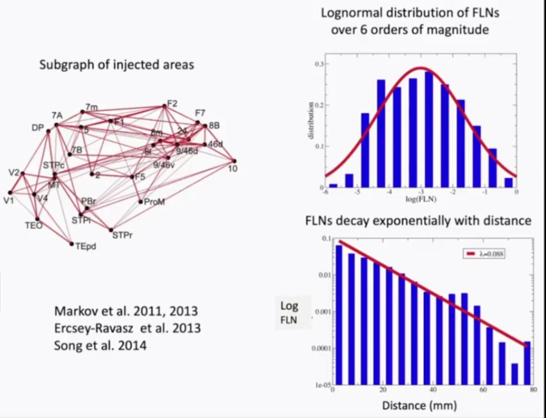 汪小京：将神经元变为数学模型和算法，在人脑和AI间架起桥梁