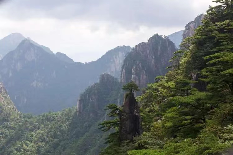 宝玉的那块玉最后去哪了 (第三十七回贾芸给宝玉带来了什么)