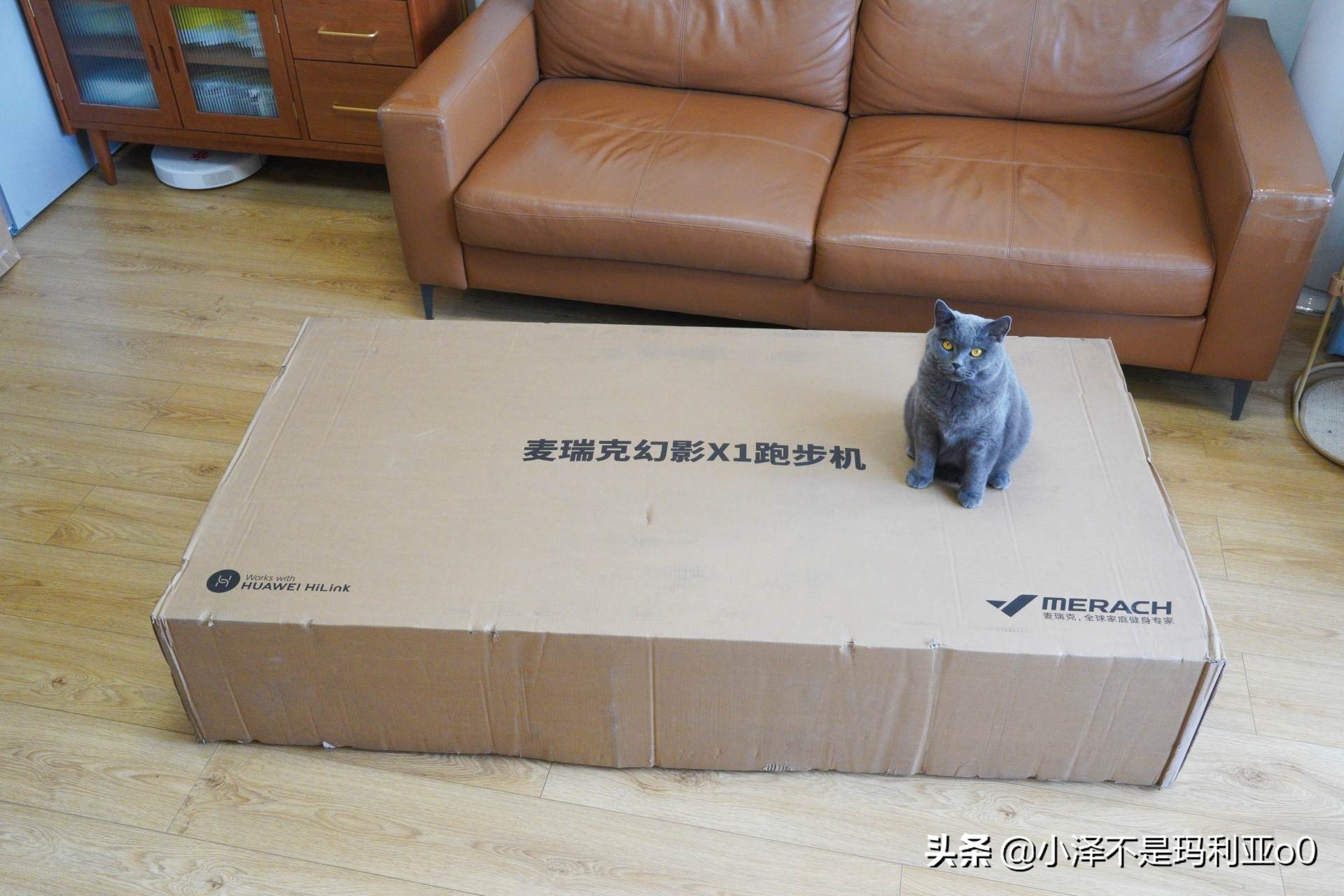 跑步机和家用跑步机的差别,跑步机好还是普通跑步机好