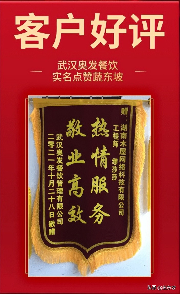 蔬东坡简介,蔬东坡怎么运营