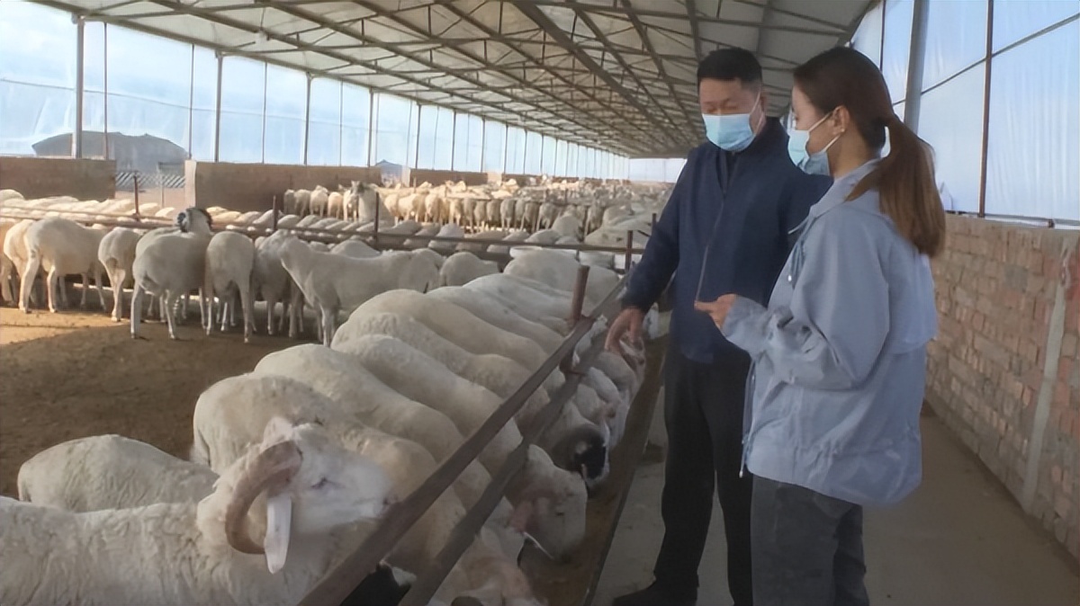 返乡创业领头雁致富不忘众乡邻,奋斗者正青春英文