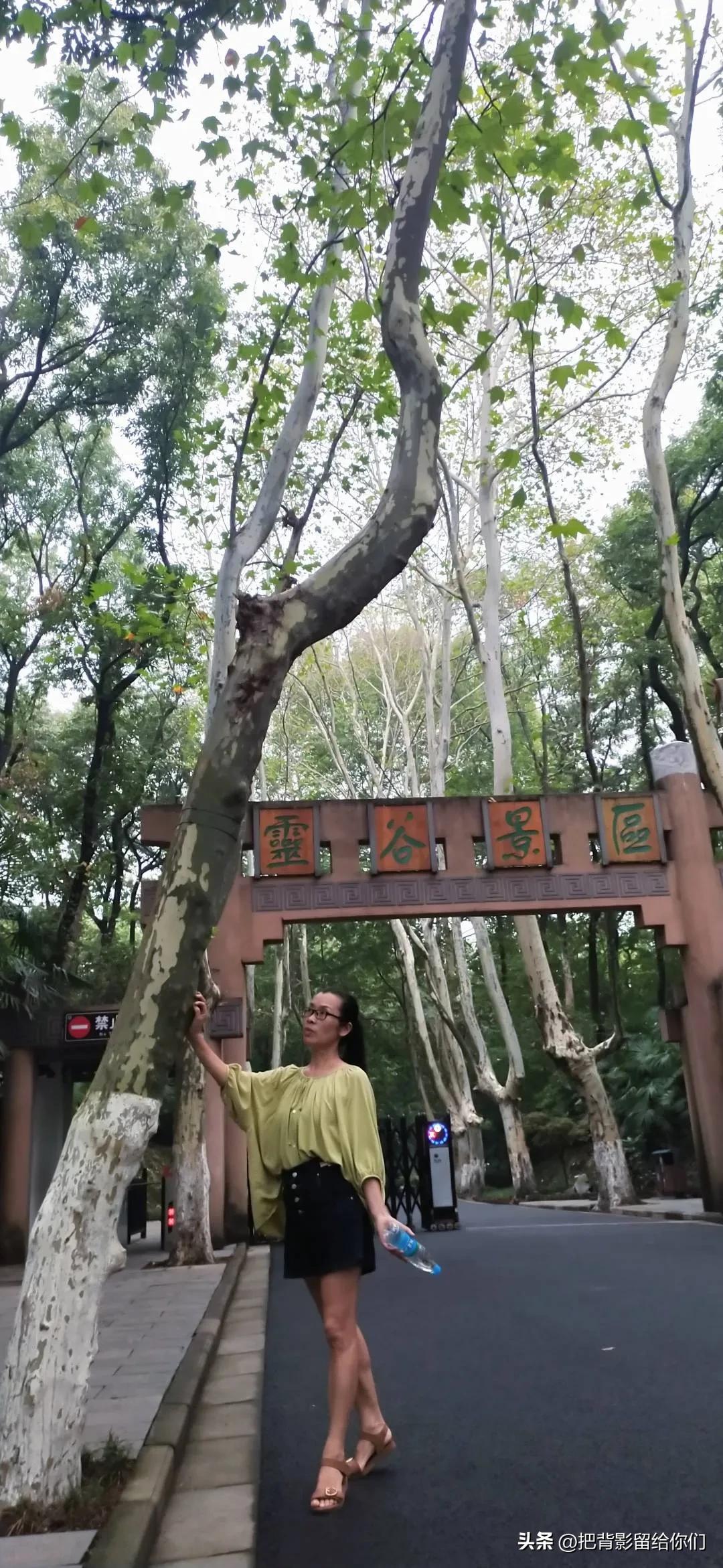 我的大南京，你这是怎么了？