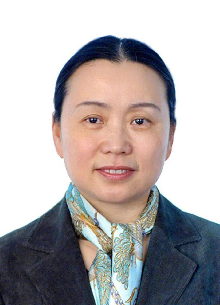 宪法学研究热点,宪法学研究述略