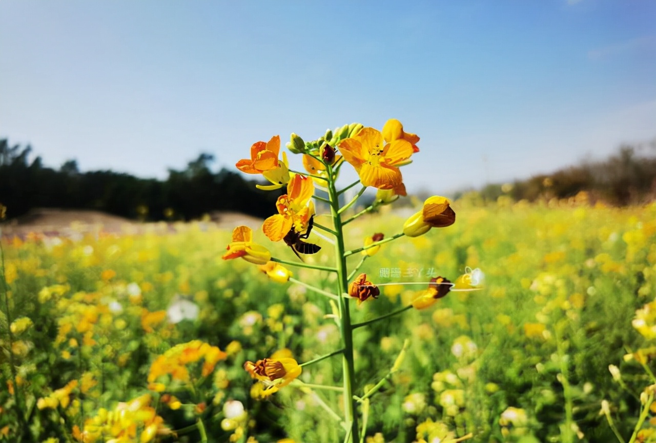 都市农业公园广州,广州农业公园近况