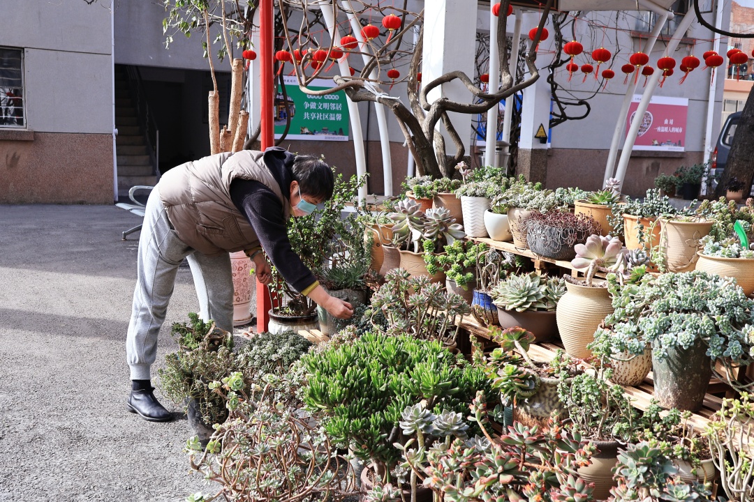 麒麟区文明游园 (曲靖麒麟区文明游园)