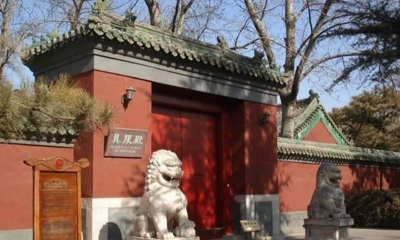 失踪78年的北京人头盖骨就藏在日坛树林里？