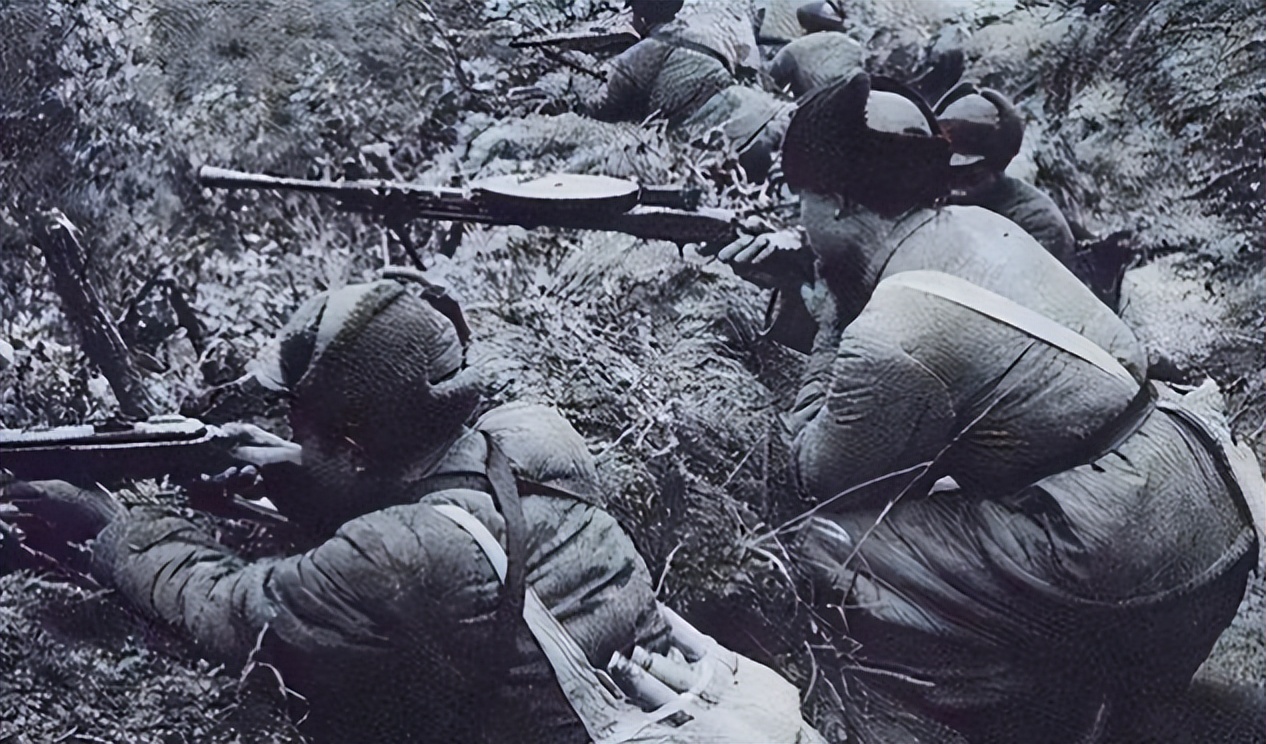 解放军113师简介,解放军113部队