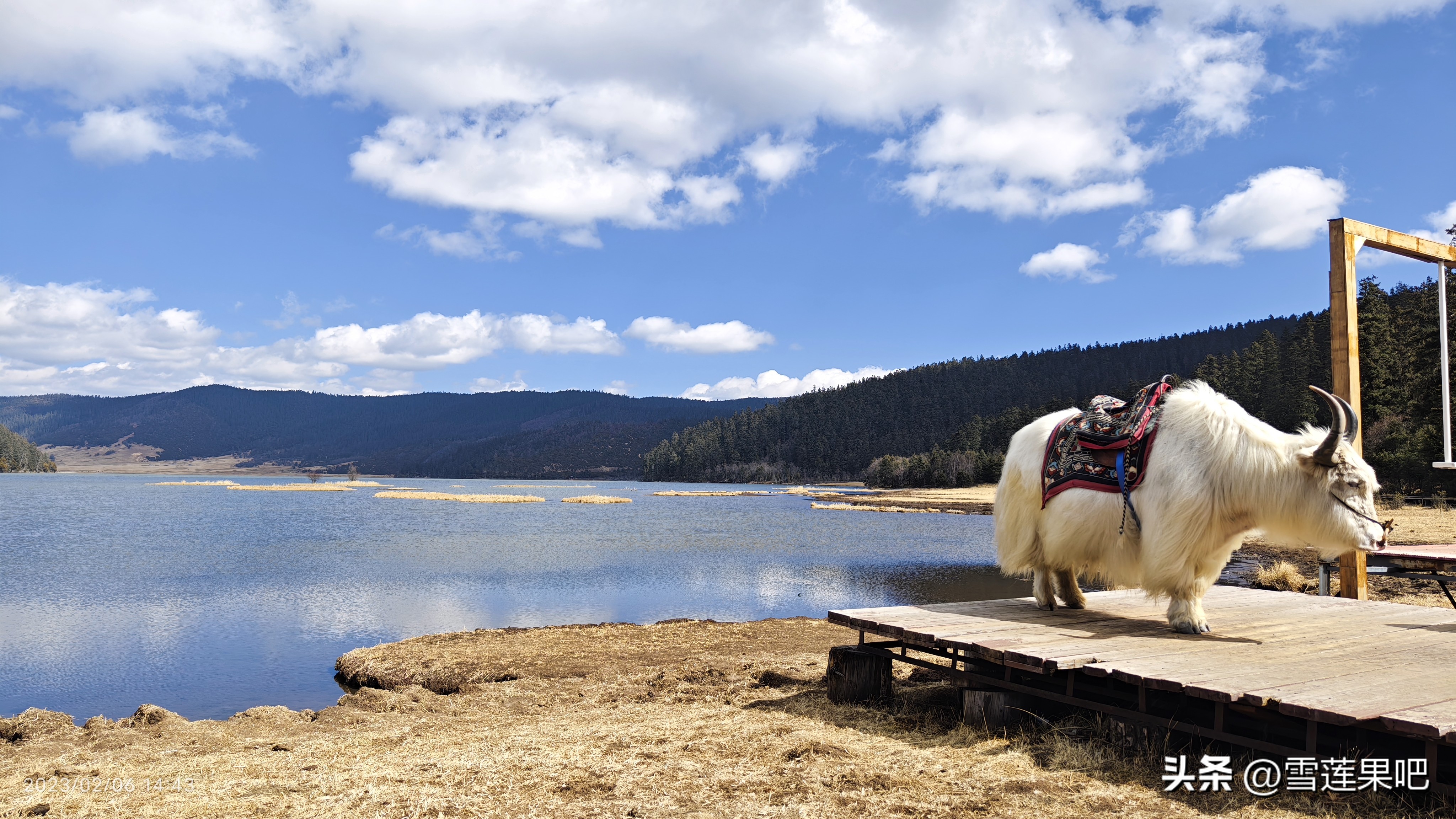 云南春天旅行攻略景点排名,七彩云南旅游攻略景点大全