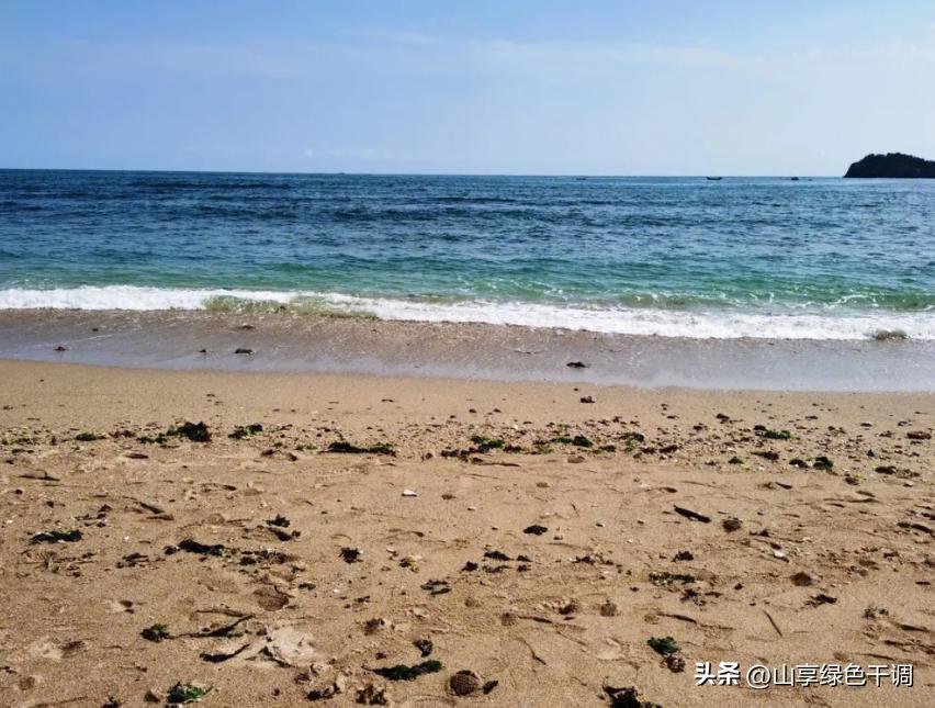 辽宁旅游海边吃海鲜,辽宁旅游吃海鲜