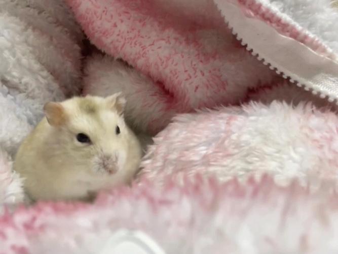 冷知识怎样分辨自己是什么色调,冷知识怎么查