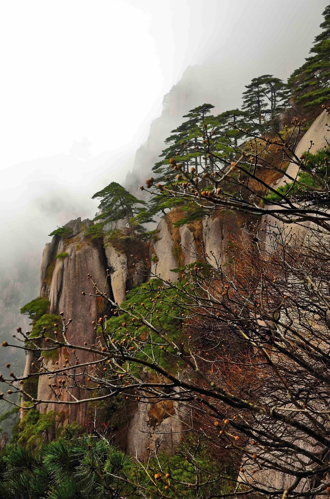 黄山慈光阁到玉屏楼步行多久,爬黄山从慈光阁开始的攻略