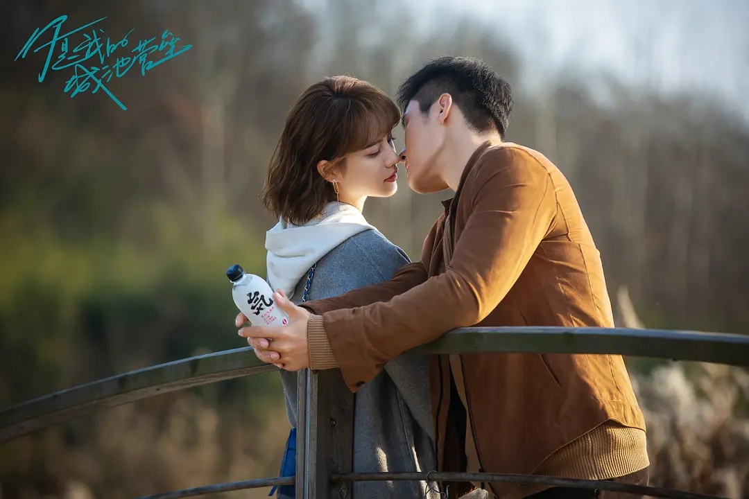 十部熬夜必看高甜宠外国电影,15部熬夜必看高甜宠电影