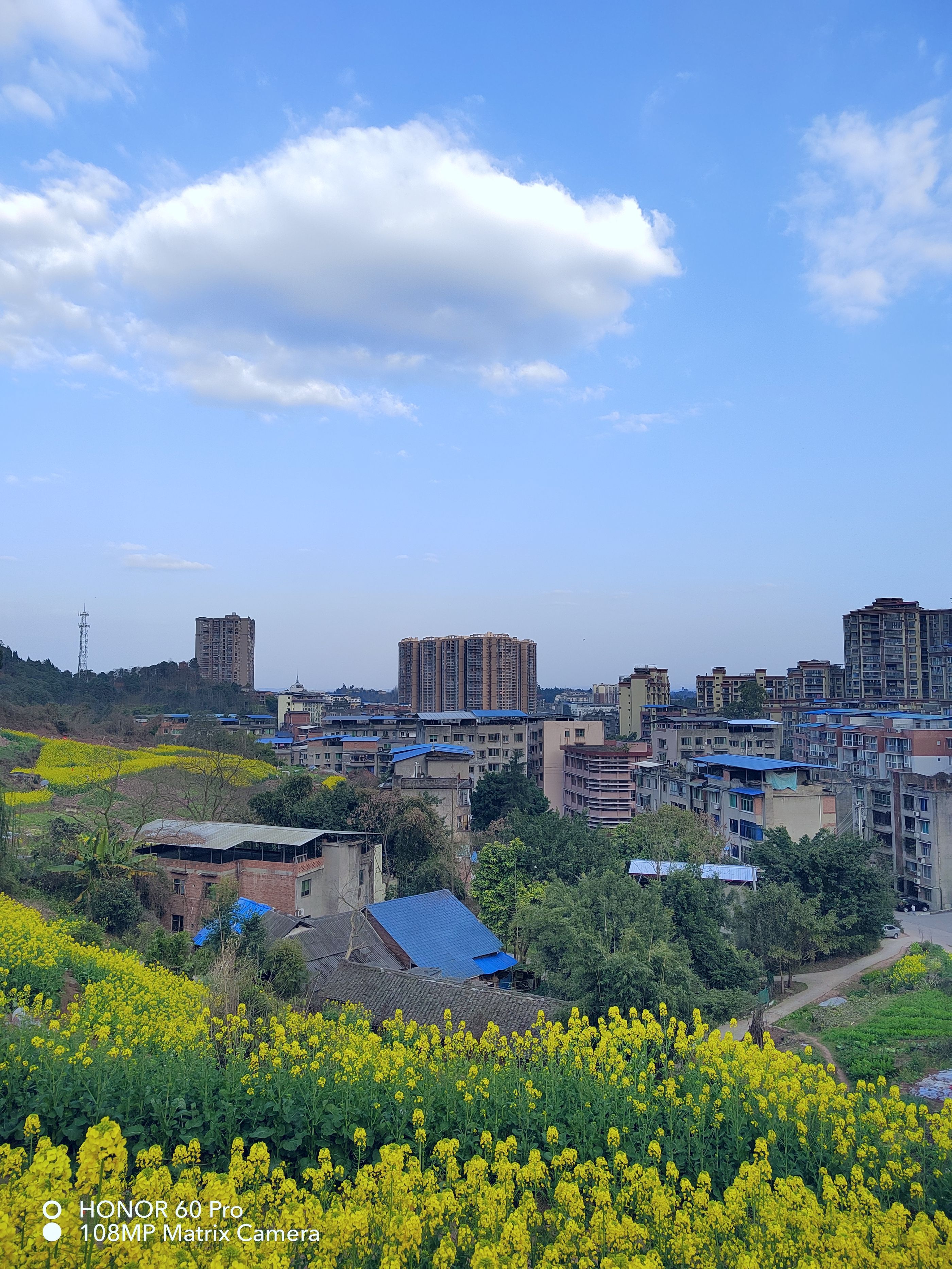 荣耀新出的手机荣耀60pro怎么样,荣耀60pro手机有哪些黑科技