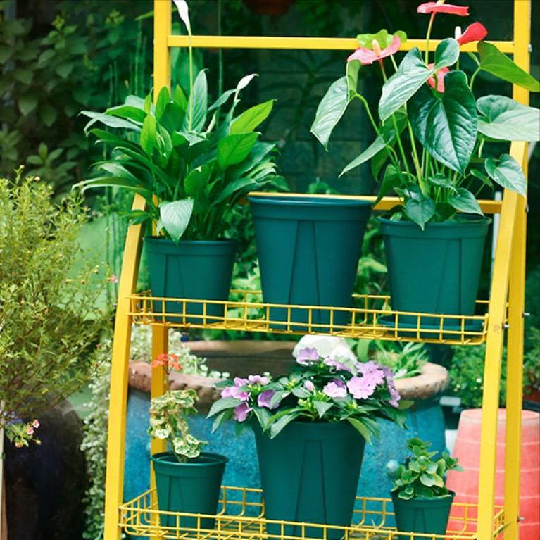 花盆的种类有哪些,花卉市场一般都是在用什么花盆