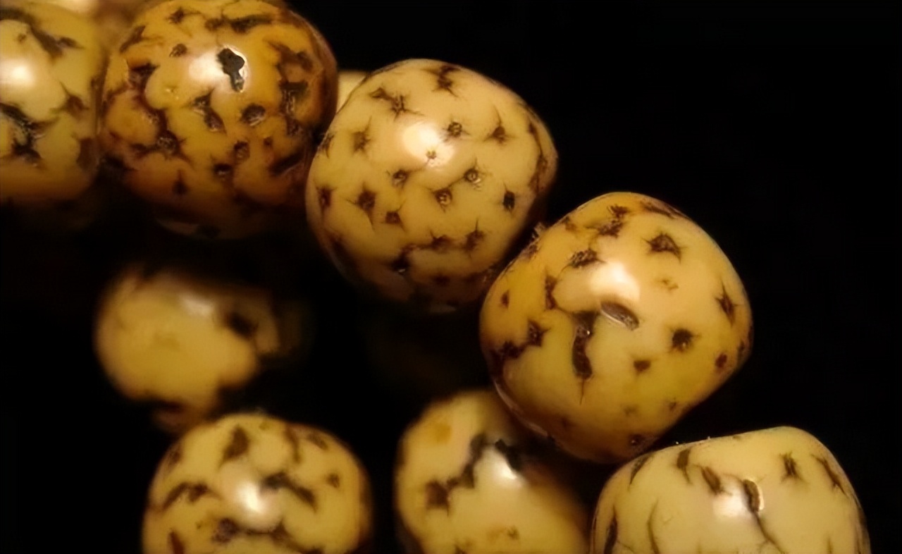 鸡油黄星月菩提盘到最后什么颜色,鸡油黄星月菩提盘出来的效果图