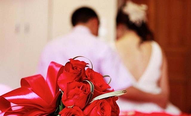 海南报恩巨蟒现况,巨蟒为报恩甘愿当“保姆”