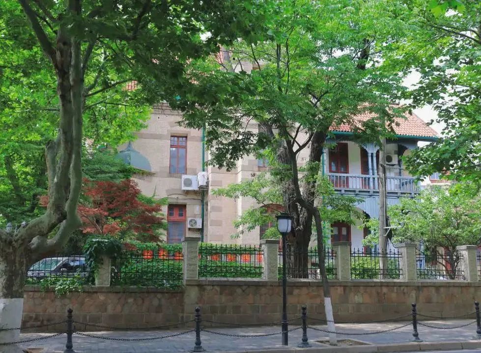 青岛绝美的一条路,青岛都是树的风景路