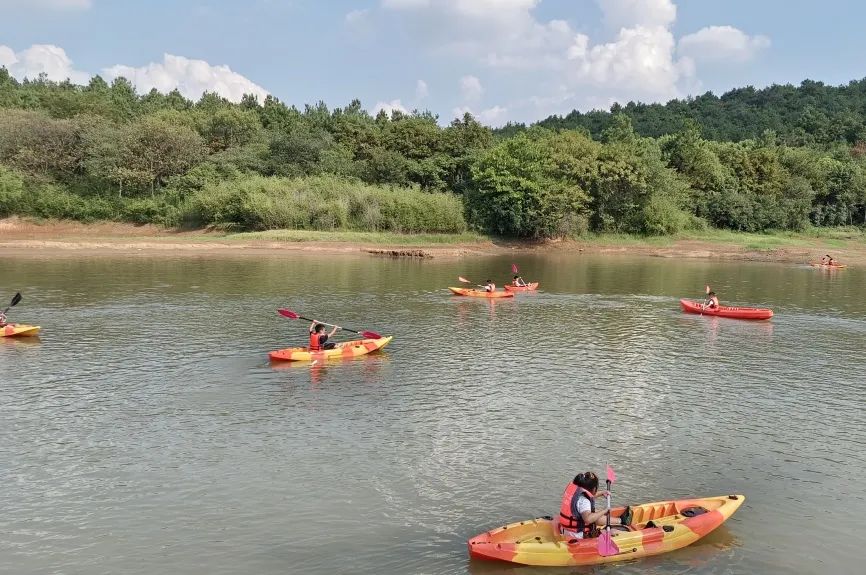 双减政策下少先队实践教育案例,双减政策下小学德育工作实践