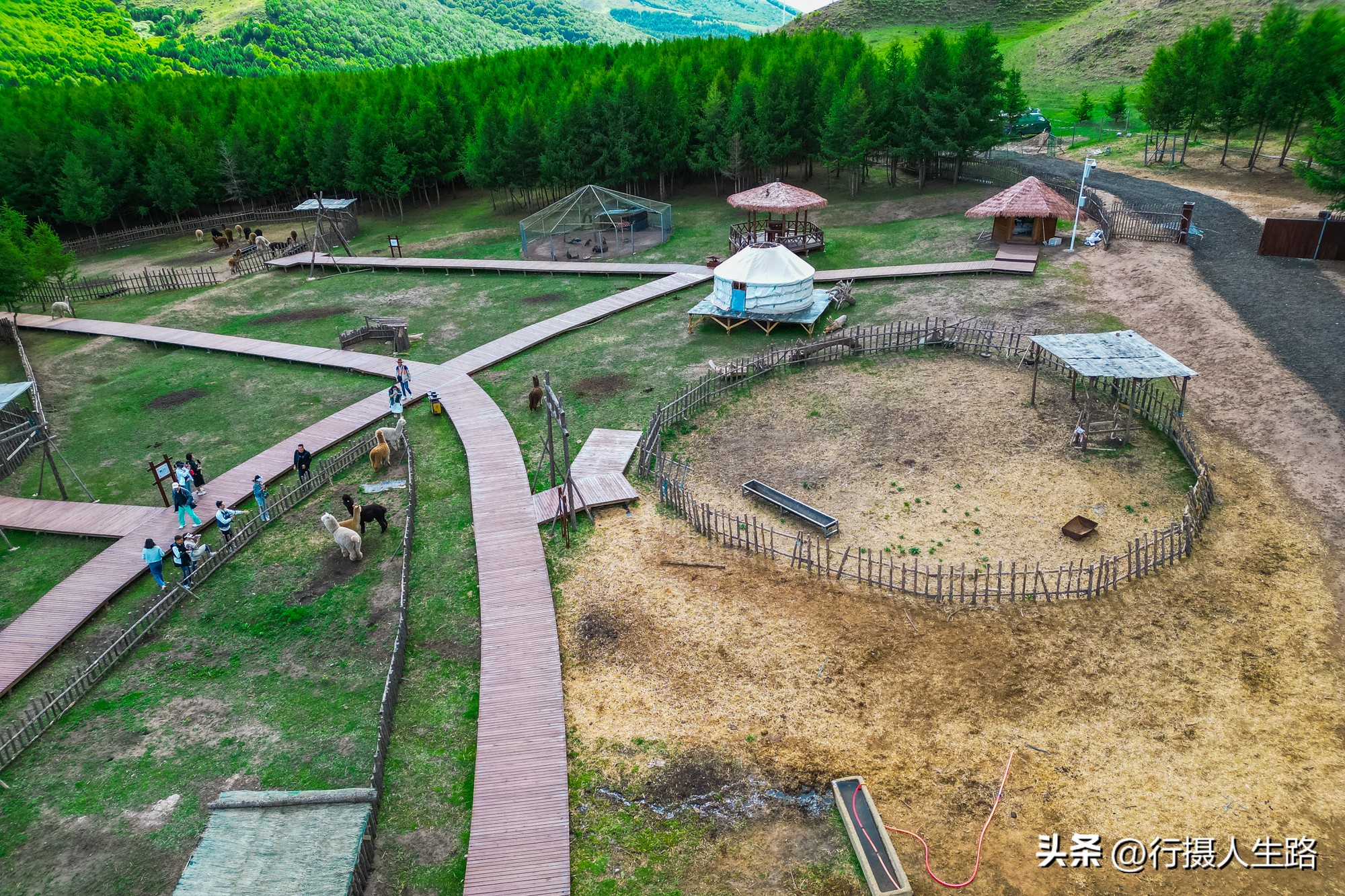 一路向北去黑龙江漠河,一路向北去寻找花海