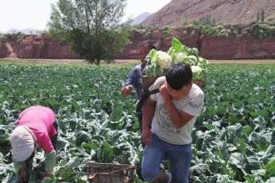 甘肃人穷人多吗,甘肃人出行都骑骆驼吗
